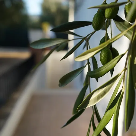 Casa de Férias Olive&sea Villa-olive Mattinata