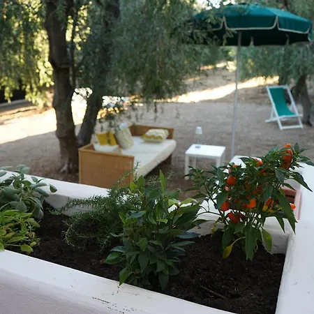 Casa de Férias Olive&sea Villa-olive *