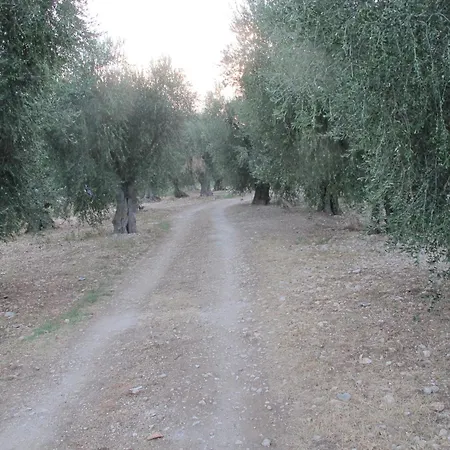 Olive&sea Villa-olive Mattinata