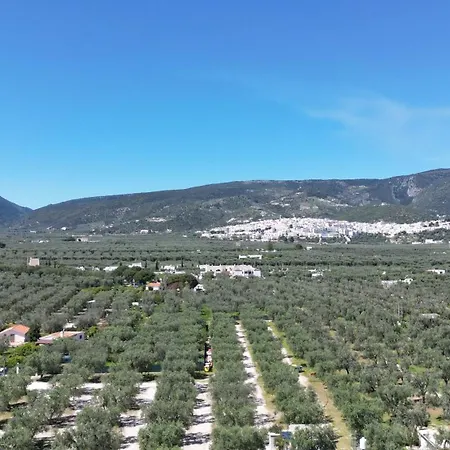 Olive&sea Villa-olive Casa de Férias Mattinata