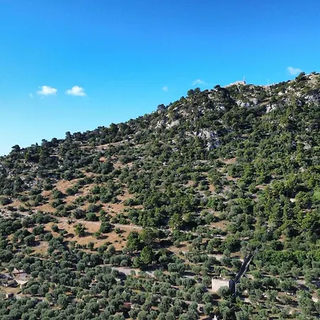 Olive&sea Villa-olive