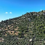 Olive&sea Villa-olive