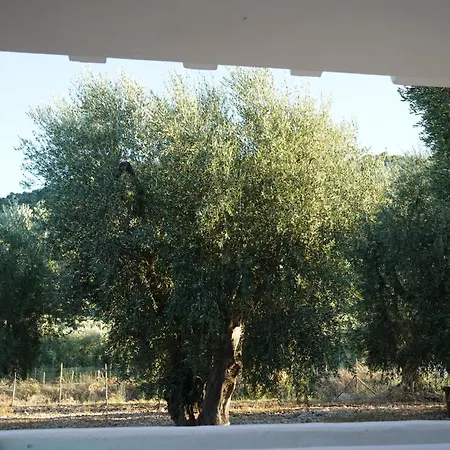 度假居 Olive&sea Villa-olive 马蒂纳塔