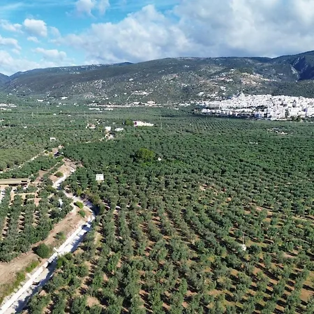 Olive&sea Villa-olive 马蒂纳塔