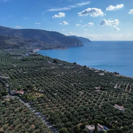 度假居 Olive&sea Villa-olive