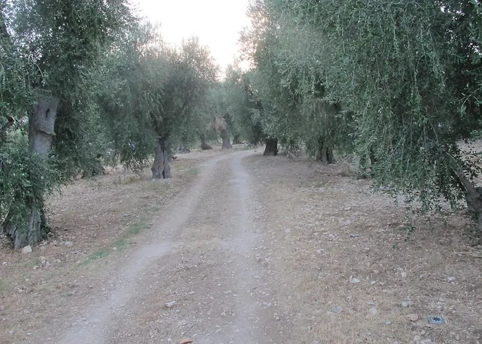 Olive&sea Villa-olive מאטינאטה